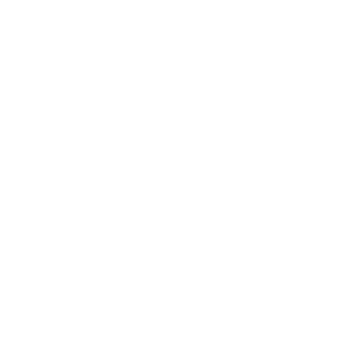 Custom Server